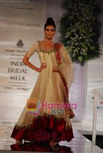 Model walks the ramp for Manish Malhotra at Aamby Valley India Bridal Week day 5 on 2nd Nov 2010 (81).JPG